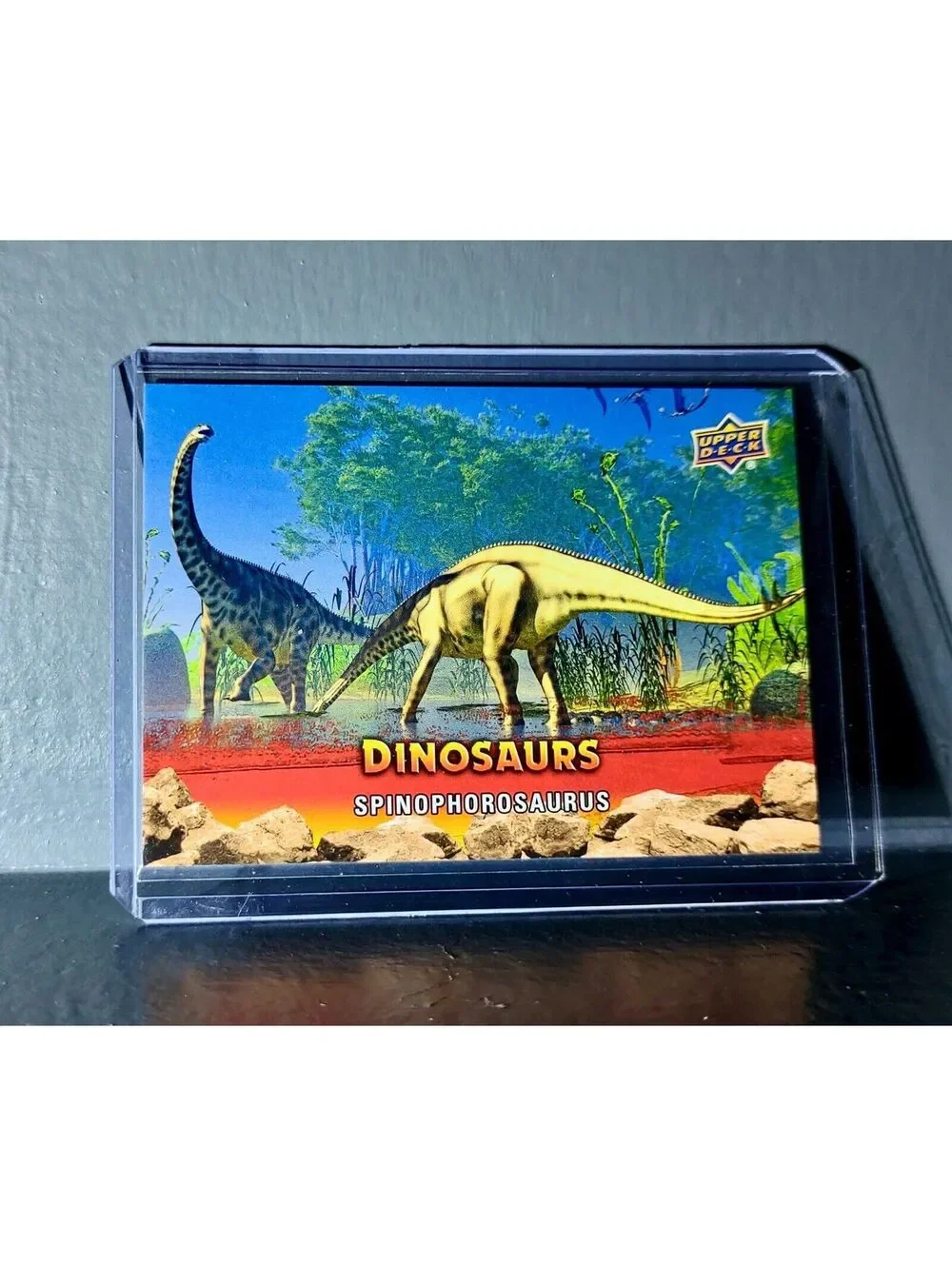 2015 Upper Deck Dinosaurs Spinophorosaurus Extinction Red Parallel #78 Card